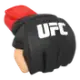 UFC